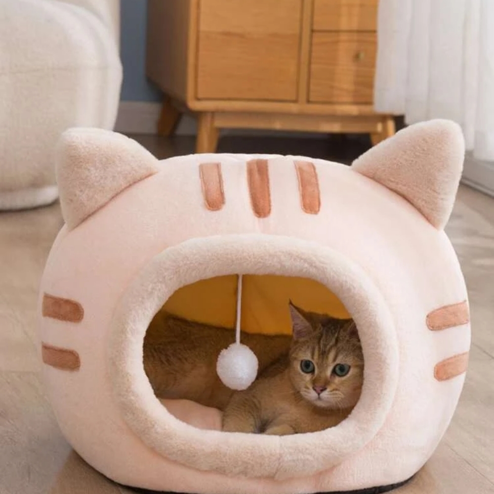 Cats toys https://www.facebook.com/profile.php?id=100092678147084&mibextid=ZbWKw